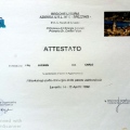 Ingrandire l'immagine: certificate 19