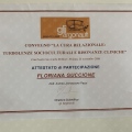 Ingrandire l'immagine: certificate 2