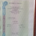 Ingrandire l'immagine: certificate 1