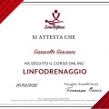 Ingrandire l'immagine: certificate 14