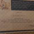 Ingrandire l'immagine: certificate 3