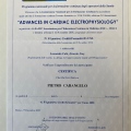 Ingrandire l'immagine: certificate 22