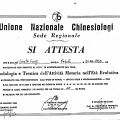 Ingrandire l'immagine: certificate 3