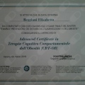 Ingrandire l'immagine: certificate 1