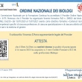 Ingrandire l'immagine: certificate 16