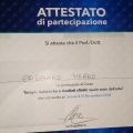 Ingrandire l'immagine: certificate 3