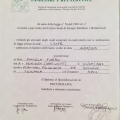 Ingrandire l'immagine: certificate 1