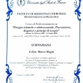 Ingrandire l'immagine: certificate 3