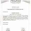 Ingrandire l'immagine: certificate 3