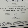 Ingrandire l'immagine: certificate 1