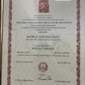 Ingrandire l'immagine: certificate 1