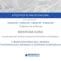 Ingrandire l'immagine: certificate 3
