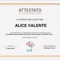 Ingrandire l'immagine: certificate 9