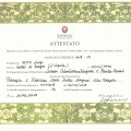 Ingrandire l'immagine: certificate 3