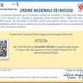 Ingrandire l'immagine: certificate 3