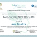 Ingrandire l'immagine: certificate 3