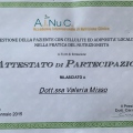 Ingrandire l'immagine: certificate 2