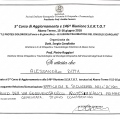 Ingrandire l'immagine: certificate 2