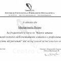 Ingrandire l'immagine: certificate 15