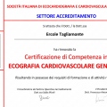 Ingrandire l'immagine: certificate 7