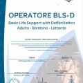 Ingrandire l'immagine: certificate 6