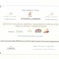 Ingrandire l'immagine: certificate 8