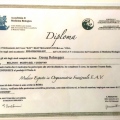 Ingrandire l'immagine: certificate 5