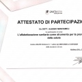 Ingrandire l'immagine: certificate 5