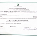 Ingrandire l'immagine: certificate 2