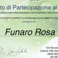 Ingrandire l'immagine: certificate 8