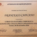 Ingrandire l'immagine: certificate 15