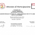 Ingrandire l'immagine: certificate 8