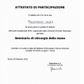 Ingrandire l'immagine: certificate 13