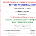 Ingrandire l'immagine: certificate 6