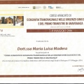 Ingrandire l'immagine: certificate 2