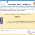 Ingrandire l'immagine: certificate 3