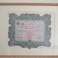 Ingrandire l'immagine: certificate 1