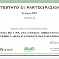 Ingrandire l'immagine: certificate 6