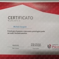 Ingrandire l'immagine: certificate 12
