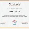 Ingrandire l'immagine: certificate 4