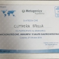 Ingrandire l'immagine: certificate 11