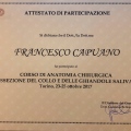 Ingrandire l'immagine: certificate 12