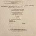Ingrandire l'immagine: certificate 19