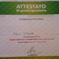 Ingrandire l'immagine: certificate 14