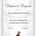 Ingrandire l'immagine: certificate 3