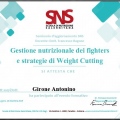 Ingrandire l'immagine: certificate 8