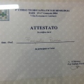 Ingrandire l'immagine: certificate 7
