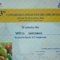 Ingrandire l'immagine: certificate 3