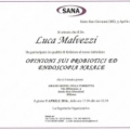 Ingrandire l'immagine: certificate 37