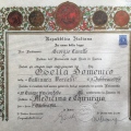 Ingrandire l'immagine: certificate 8
